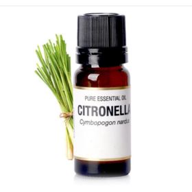 Lemongrass Essential Oil (Option: 10ML)